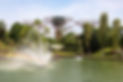 Singapore_(SG),_Gardens_By_The_Bay_--_2019_--_4755.jpg