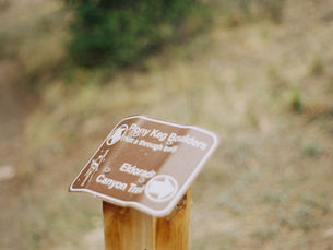 AI-drevne CDP-er: hype, virkelighet og hvor skandinaviske SMB-er bør starte