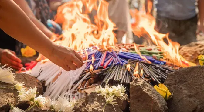 Healing with the Ancestors | Payment Plan