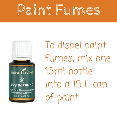 Peppermint Essential Oil Young Living Delivery in Australia