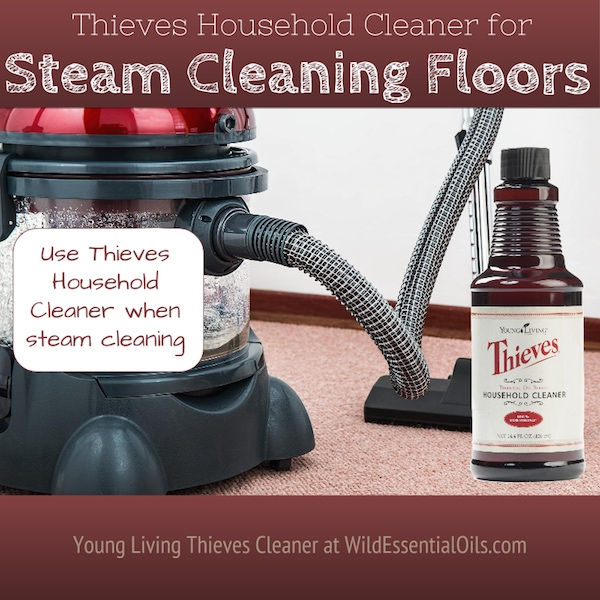Top 7 Thieves Cleaner Uses in the Living Room