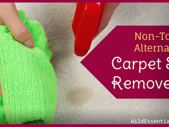 Carpet Stain Remover Non-Toxic Alternative - Another Use for Thieves Cleaner