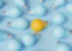 Stand out from the crowd with good content!