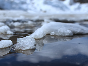 March Plumbing Problems in Burlington, CT: Warning Signs to Fix Before Spring Rains Hit