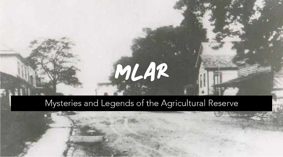 MLAR Banner.jpg