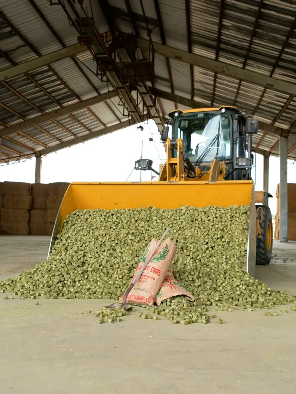 Yellow loader dumping green cubes inside a warehouse. Two brown sacks labeled "HAY CUBES" are in front, with a metal roof above.