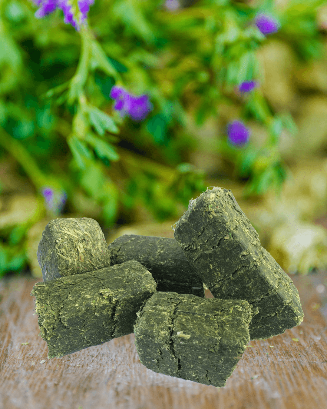 alfalfa cubes set on a brown surface in front of a blurred violet and green plant