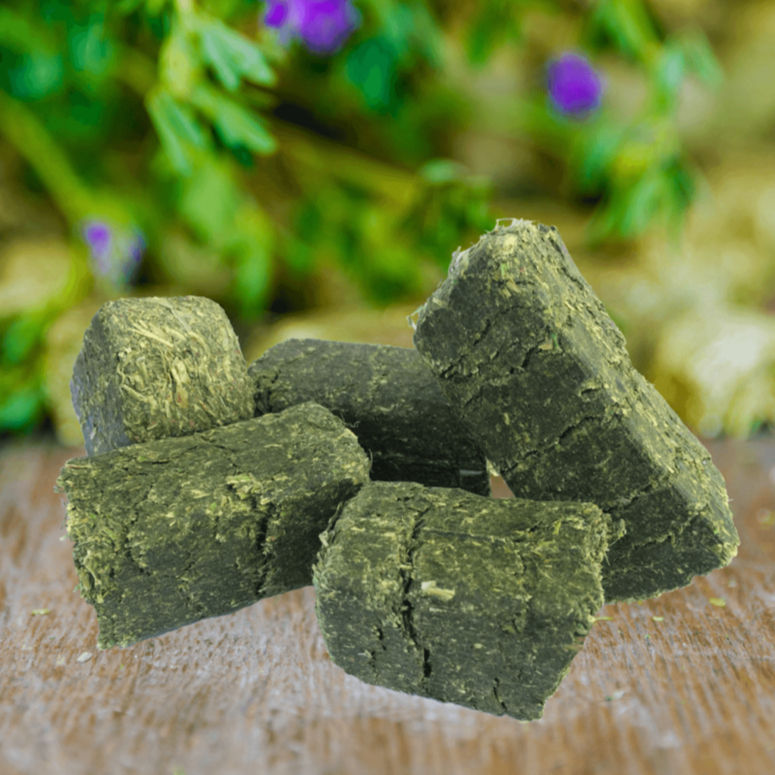 Close-up of green alfalfa cubes stacked on a wooden surface with a blurred leafy background featuring purple flowers.