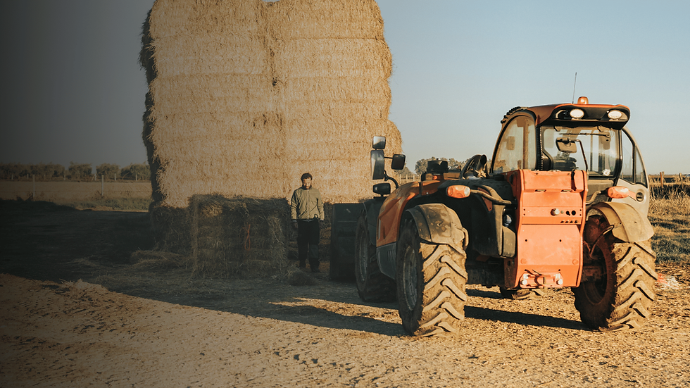 Farmer with haystack and orange tractor on a sunny day. Dirt path and fields in the background, evoking a rustic rural scene.