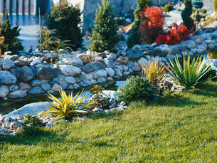 A landscaped garden with green grass, shrubs, and a stone-bordered stream. Vibrant red and orange foliage adds color. Peaceful atmosphere.