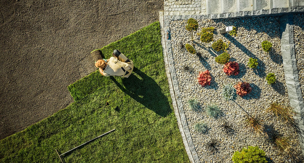 Gardener laying sod on a sunny day, bordered by a rock garden with colorful shrubs. Shadows and vibrant greens enhance the scene.