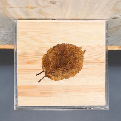 Newton’s Apple Trees: Leaves