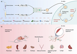 Tannic Acid Endosomal Escape
