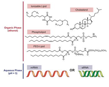 customizable LNPs for sirna and mrna