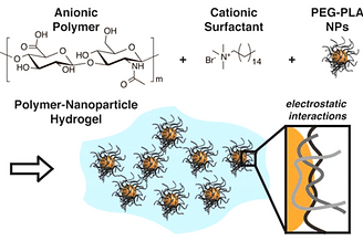 10. Exploiting electrostatic interactions in polymer–nanoparticle hydrogels
