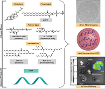 mRNA LNPs for COVID 19 Vaccine