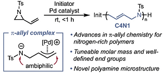 regioselective palladium catalyzed