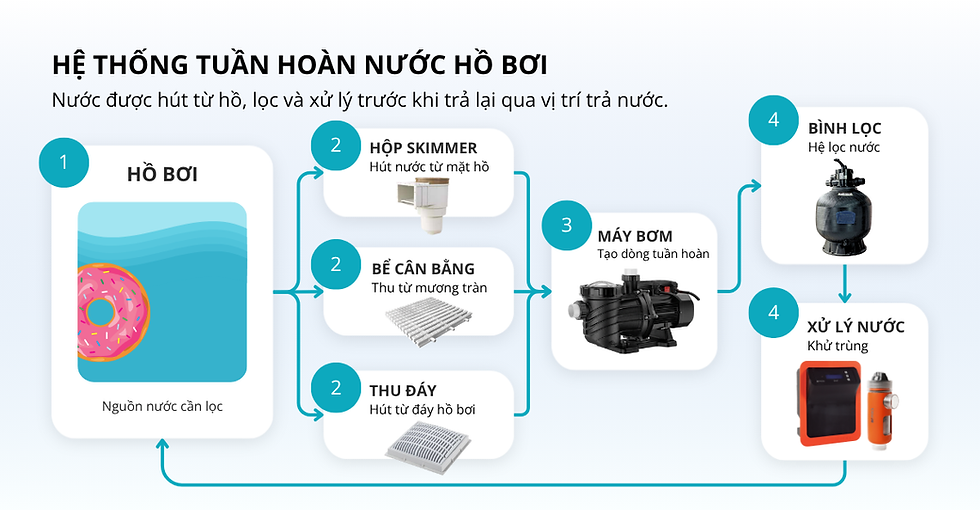 Sơ đồ hoạt động của máy bơm và hệ thống lọc nước hồ bơi