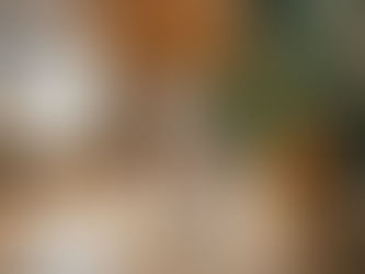 5 Home Remedies for Dog Eye Infection