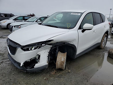 Car Wreckers Ney lynn