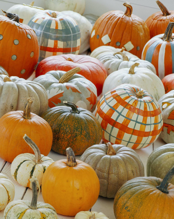 Sip & Paint A Pumpkin: Burnham Orhcards