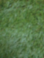 Pasto sintético para jardín