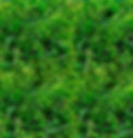 Muro verde sintético CDMX