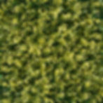 Muro verde sintético CDMX