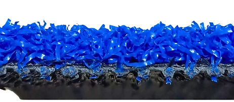 Pasto azul para pádel