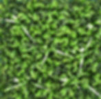 Muro verde sintético CDMX