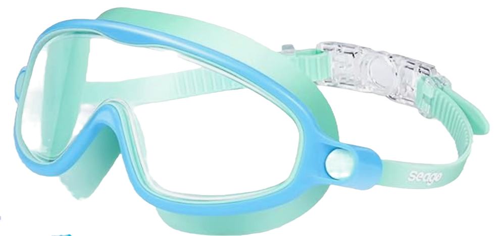 Stocking Stuffer Ideas For Men, Women, Kids & Teens stocking gift guide  swim goggles
