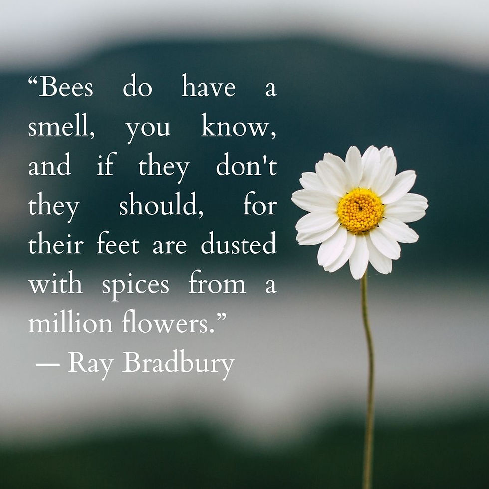 summer quotes