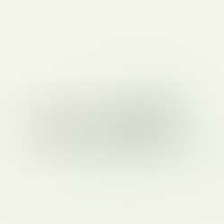 Ano Novo Chinês e Importações no Brasil: atrasos, aumento de custos e como se preparar.