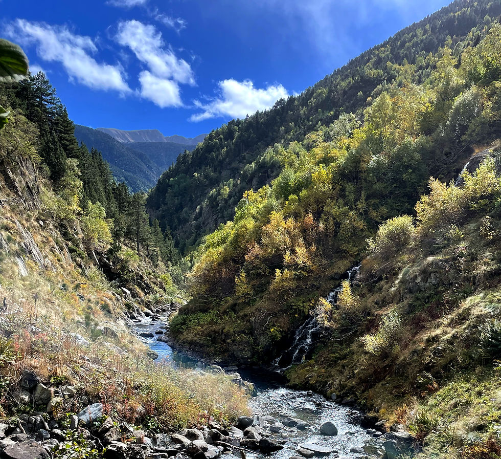 Ordino valley autumn.jpg