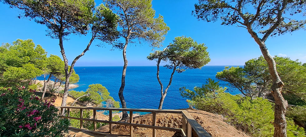 View of the sea and path with pine trees from the coastal path