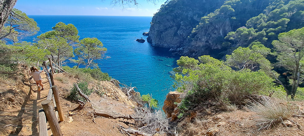 View of the Mediterranean Sea and coastal walk at Cala Pedrosa.