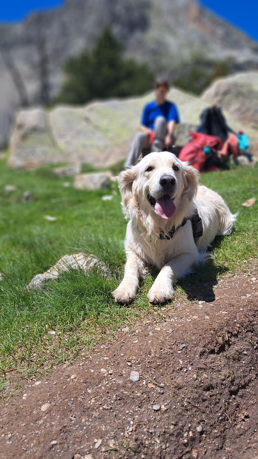 Casi, on a hike to the top of Bastiments