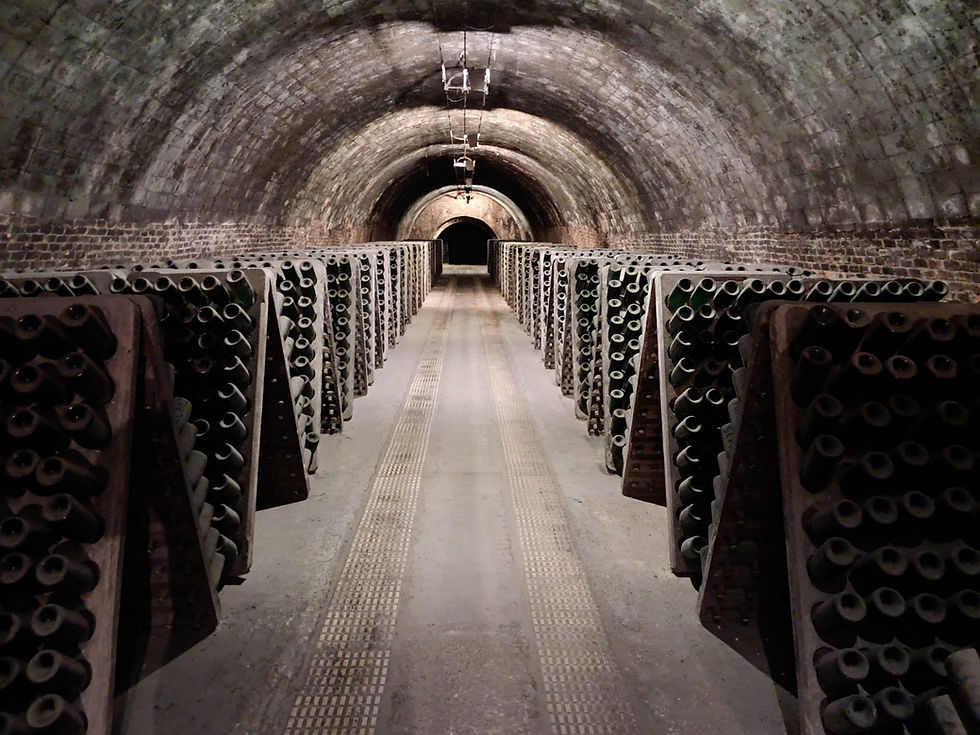 Cava sellers with rows of bottles