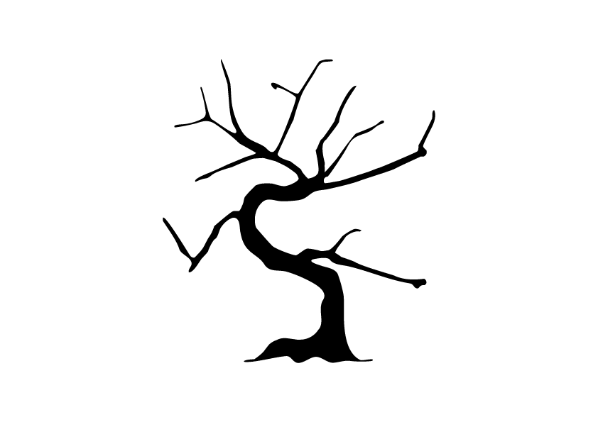 Minimalist Bonzai