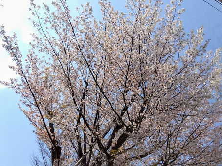 新生活で新たな自分になりましょう!!