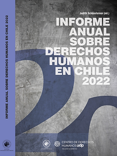 Informe Anual UDP.png