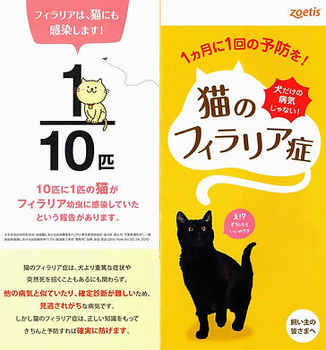 稲城市 動物病院 野坂獣医科 猫 フィラリア 1.jpg