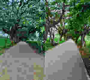 Joggers park CBD Belapur ieclectica