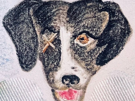 The Tale Wagging the Dog 12/9/25