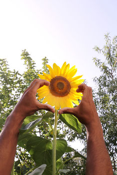 Connection with nature is empowering for young refugees, offering relaxation, joy, and a sense of well-being.