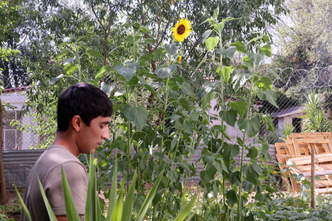 Unaccompanied refugee youths live with constant uncertainty, their minds burdened by questions and fears about the next steps