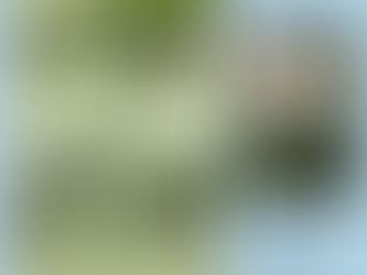 Comment voyager sans bouger de son canapé ?