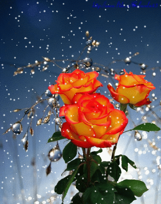 sfv8j7p6jcu.gif