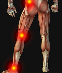 joint pain, knee pain
