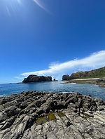 S__68722711.jpg